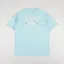 Dickies Hays T Shirt Pastel Turquoise