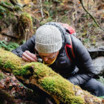 Stepping into one of Cumbrias temperate rainforests