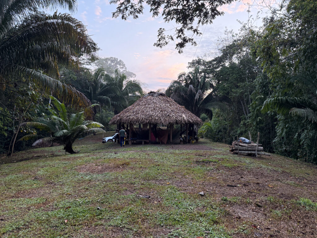 Veja // “Welcome to the jungle”