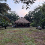 Veja // “Welcome to the jungle”