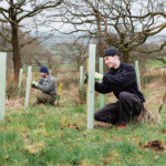 Reviving an ancient woodland: The follow-up
