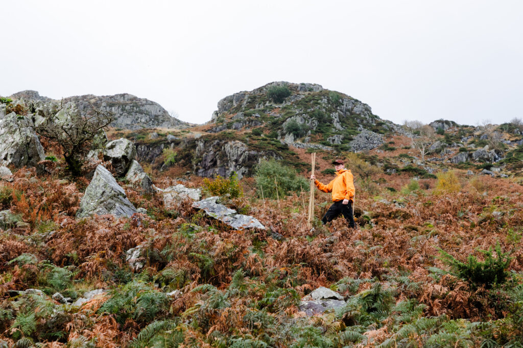 Establishing a new woodland in Thirlmere