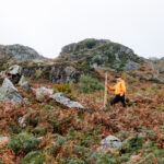 Establishing a new woodland in Thirlmere