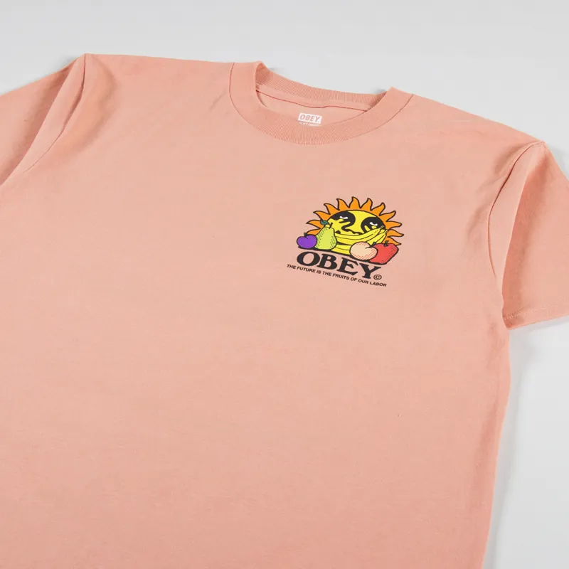 Obey The Future Is The Fruits Of Our Labor T Shirt Citrus-3