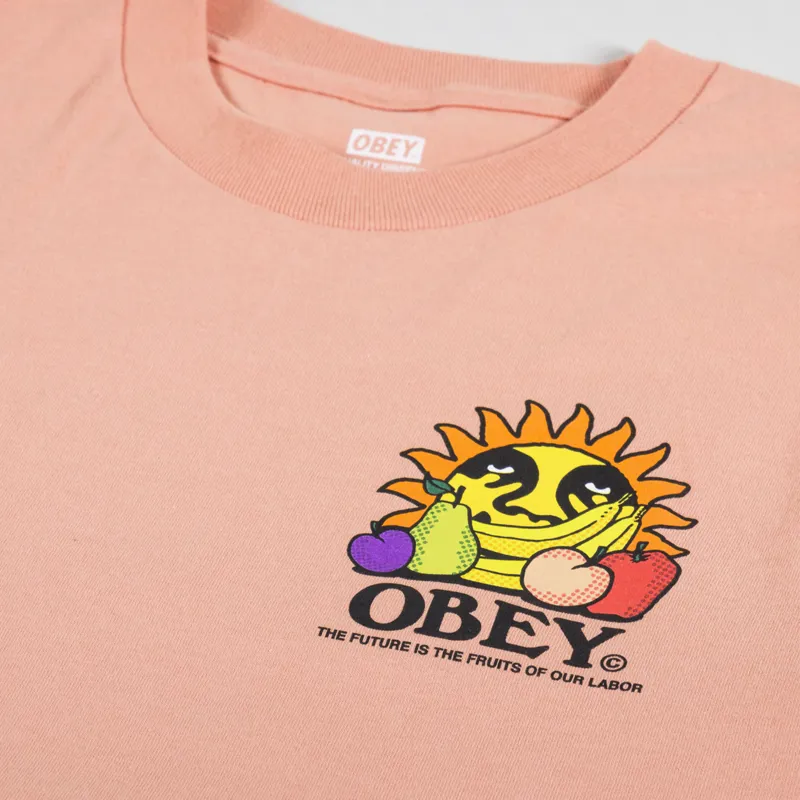 Obey The Future Is The Fruits Of Our Labor T Shirt Citrus-5