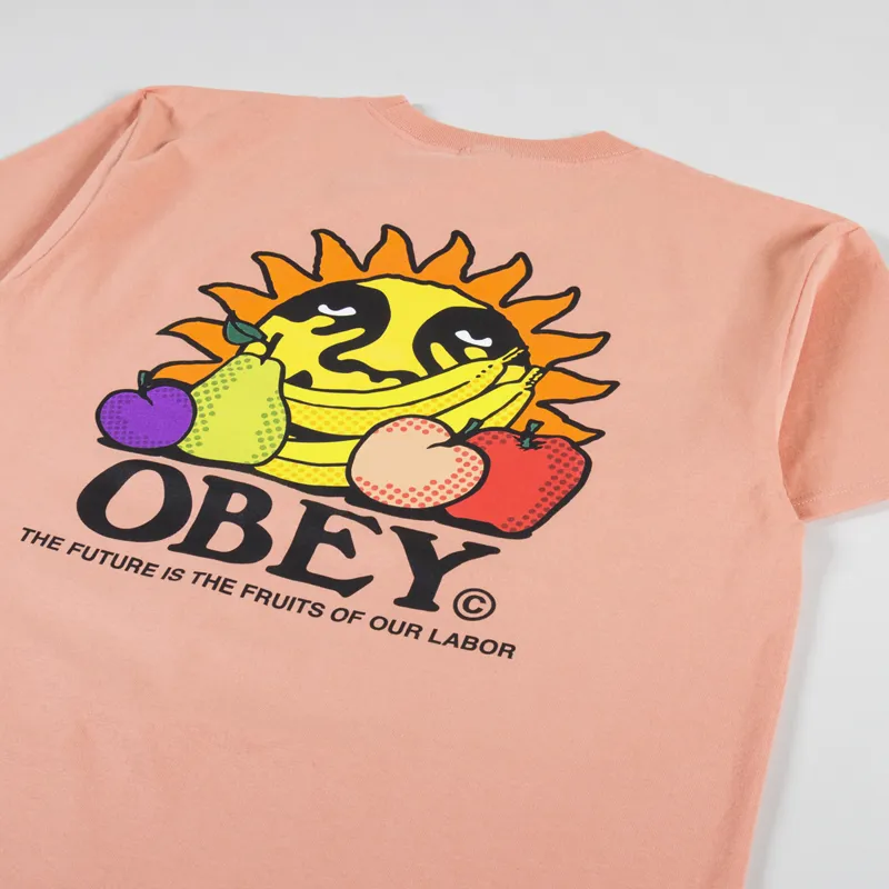 Obey The Future Is The Fruits Of Our Labor T Shirt Citrus-2