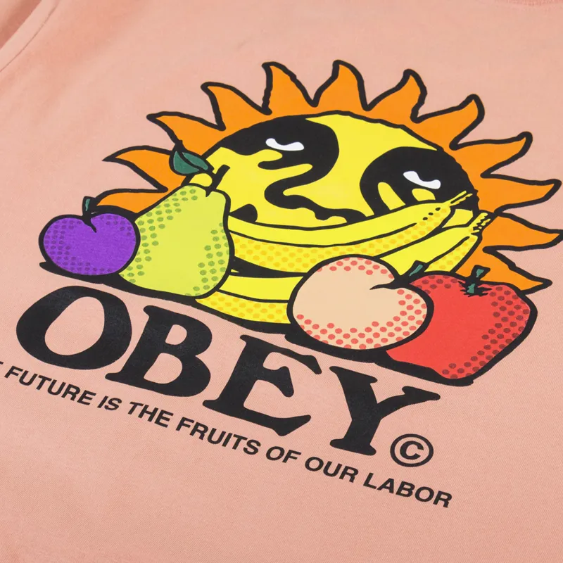 Obey The Future Is The Fruits Of Our Labor T Shirt Citrus-4