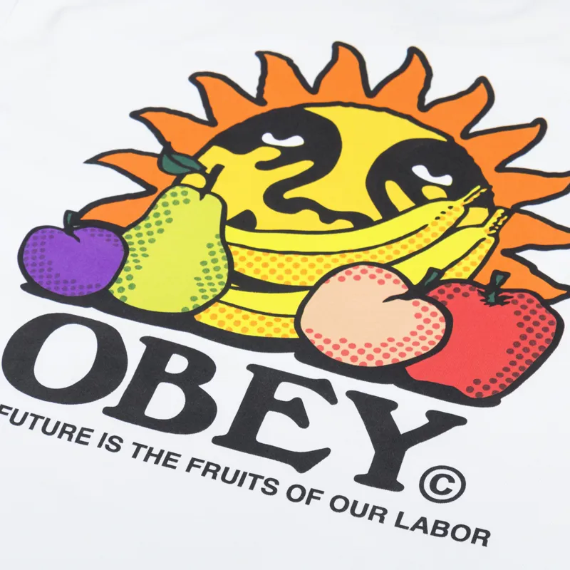Obey The Future Is The Fruits Of Our Labor T Shirt White-4