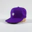 Patagonia Scrap Everyday Cap Fitz Roy Icon Purple