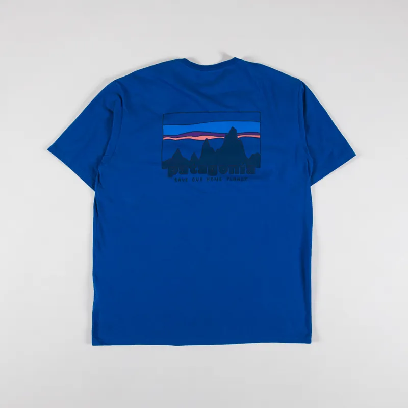 Patagonia 73 Skyline Organic T Shirt Endless Blue