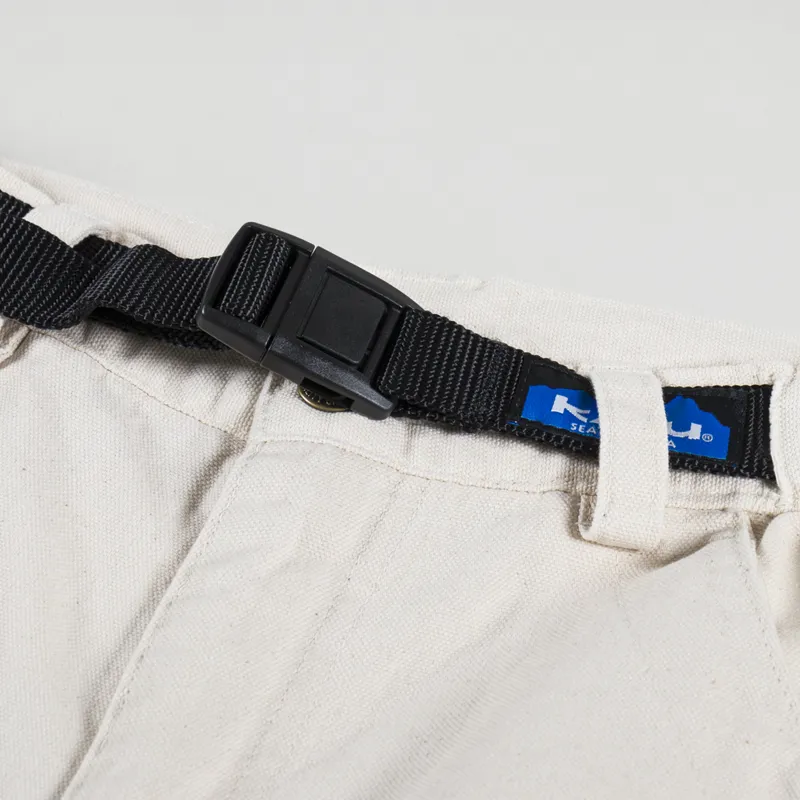 Kavu Chilliwack Short Birchwood-4