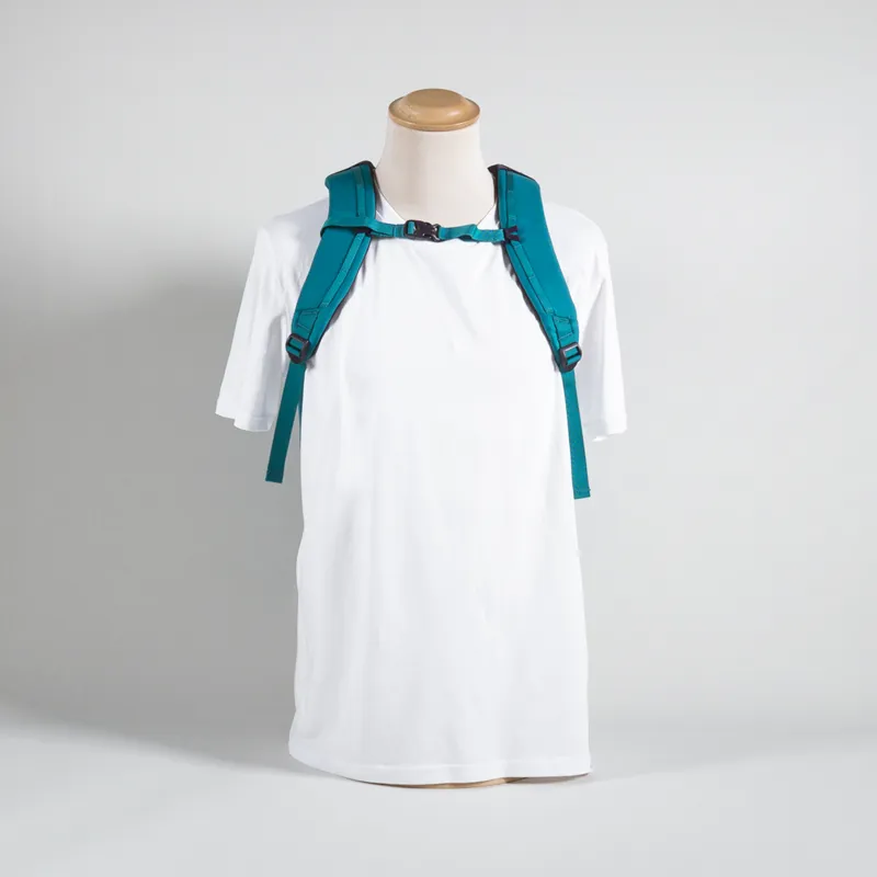 Patagonia Atom Tote Pack 20L Belay Blue-5