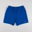 Patagonia Baggies Lights Shorts Endless Blue