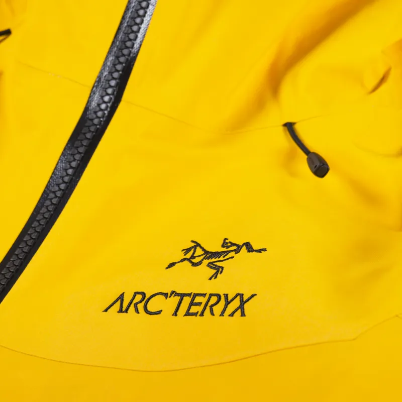Arc'teryx Alpha SV GORE-TEX Jacket Edziza-8