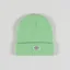 Dickies Gibsland Beanie Alpine Mint