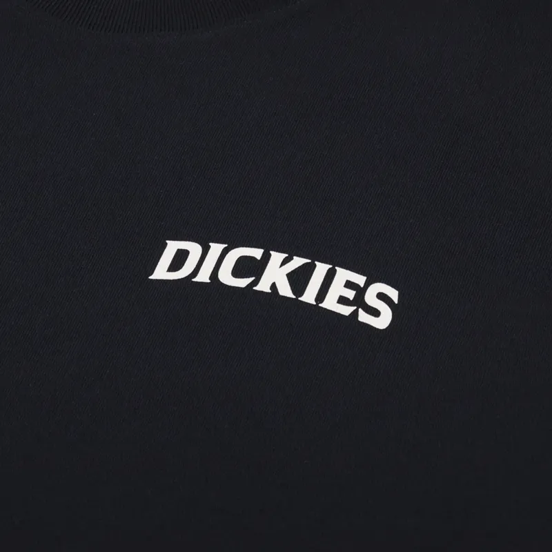 Dickies Elliston T Shirt Black-5