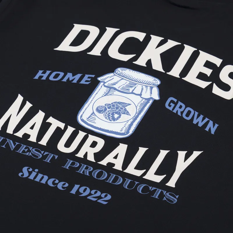 Dickies Elliston T Shirt Black-4