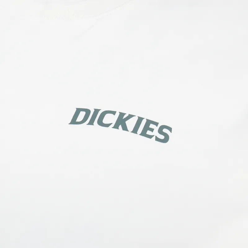 Dickies Elliston T Shirt Cloud-5
