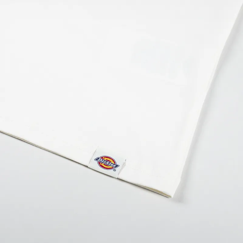 Dickies Elliston T Shirt Cloud-6