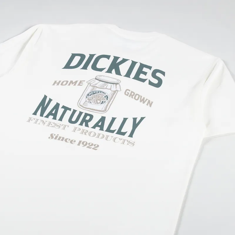 Dickies Elliston T Shirt Cloud-2