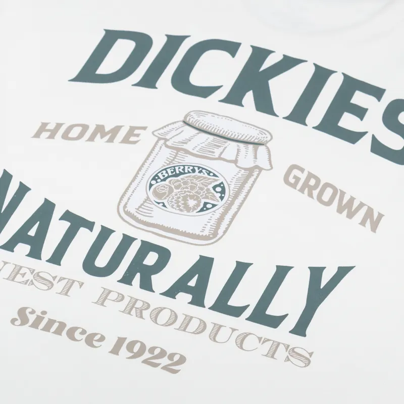 Dickies Elliston T Shirt Cloud-4