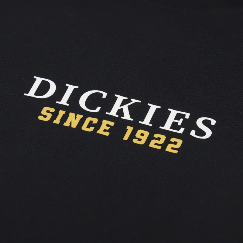 Dickies Park T Shirt Black-2