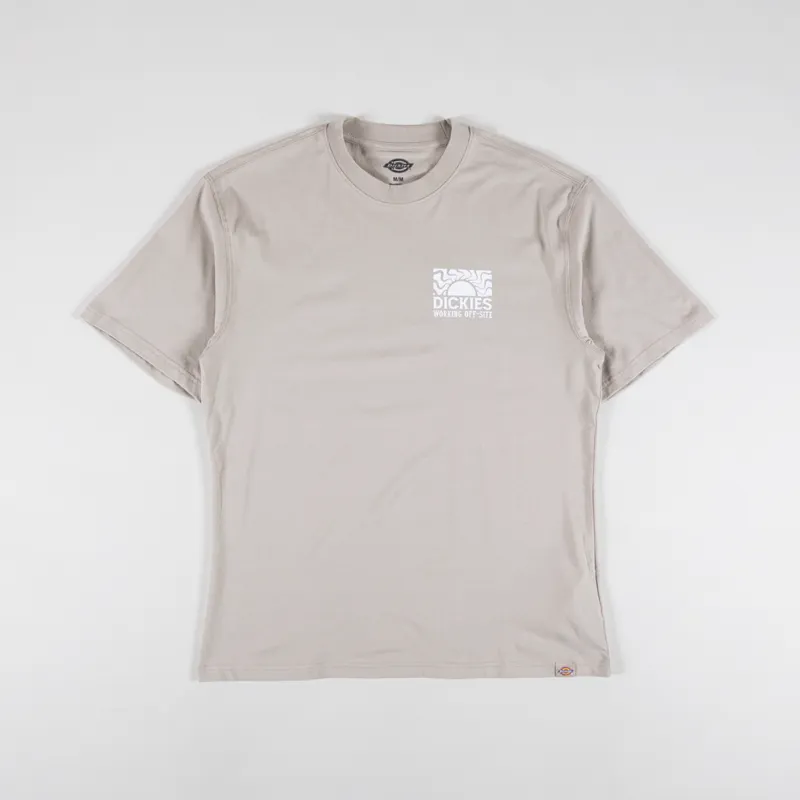 Dickies Saltville T Shirt Sandstone