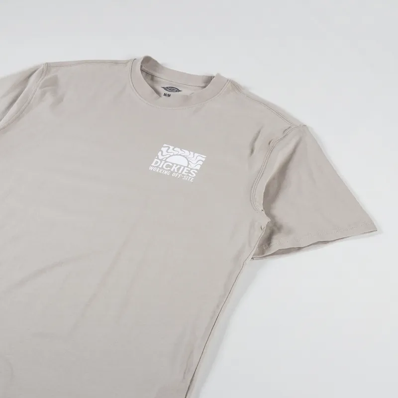 Dickies Saltville T Shirt Sandstone-1