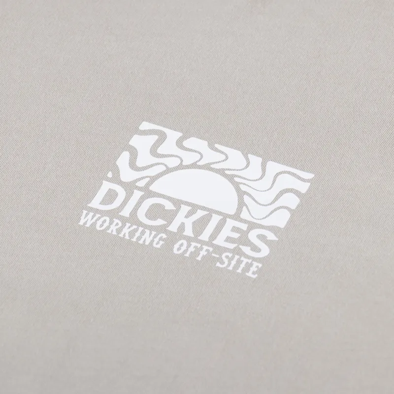 Dickies Saltville T Shirt Sandstone-2