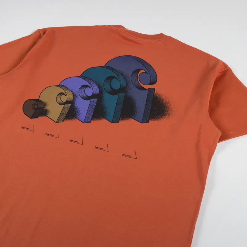 Carhartt WIP Diagram C T Shirt Phoenix-2