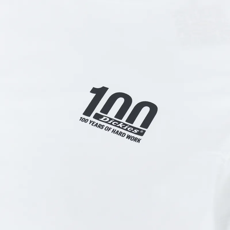Dickies 100 Logo T Shirt White-5