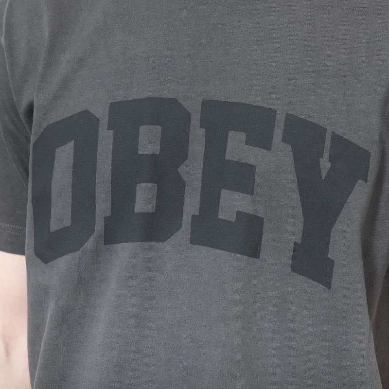 Obey Collegiate Pigment T Shirt Stretch Limo-4