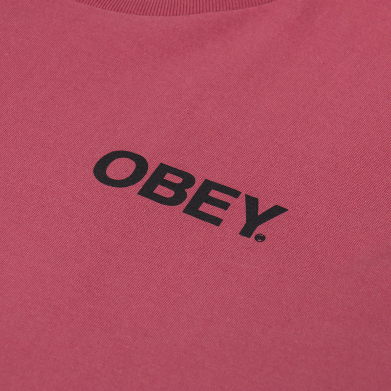 Obey Doberman T Shirt Mineral Red-5