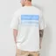Gramicci Climbing T Shirt Natural Pigment