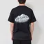 Columbia Heavyweight Graphic T Shirt Black Snowy Peaks