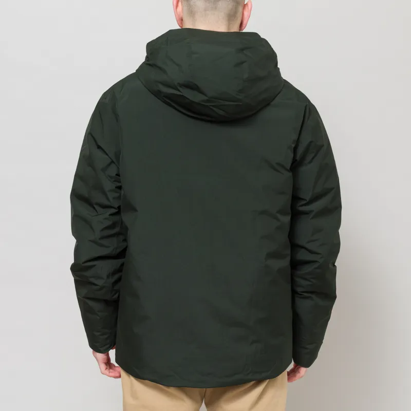 Patagonia Lightweight GORE-TEX Stormshadow Jacket Old Growth Green-3