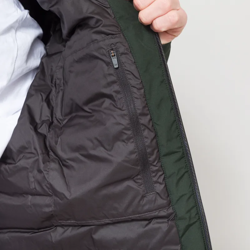 Patagonia Lightweight GORE-TEX Stormshadow Jacket Old Growth Green-8