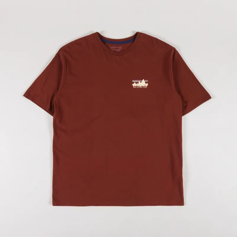 Patagonia 73 Skyline Organic T Shirt Dried Vanilla-1