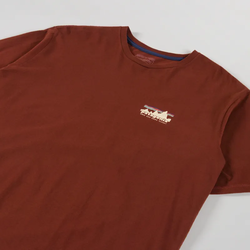 Patagonia 73 Skyline Organic T Shirt Dried Vanilla-3