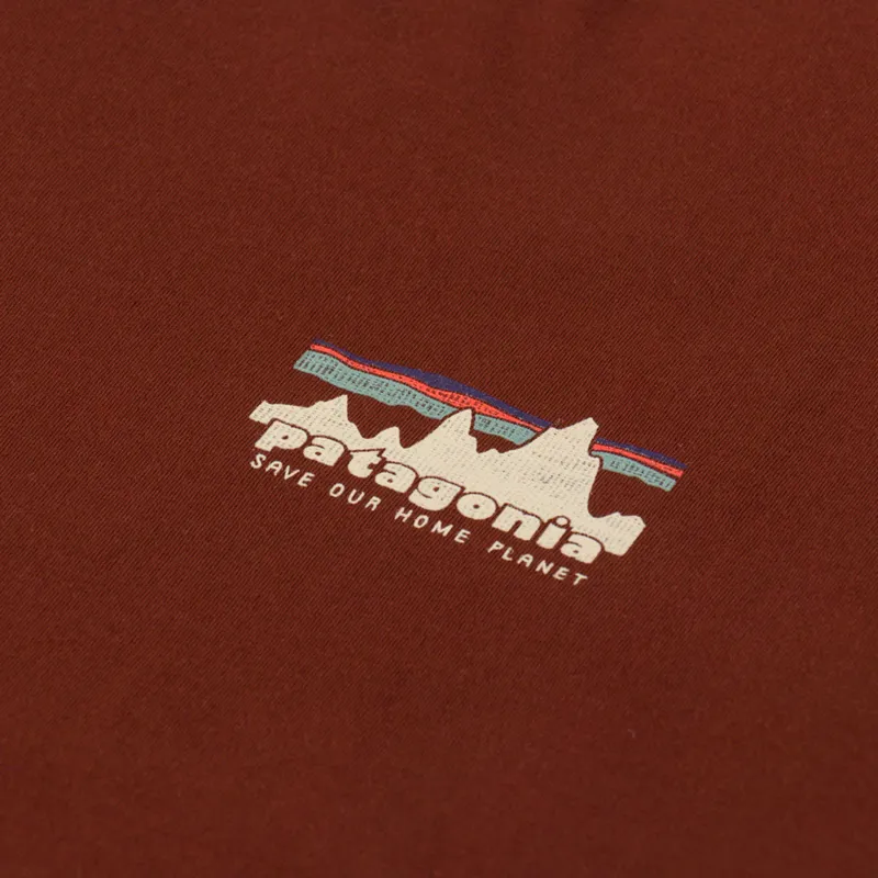 Patagonia 73 Skyline Organic T Shirt Dried Vanilla-5