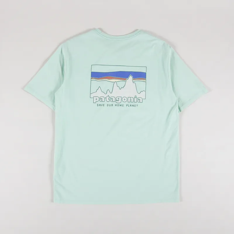 Patagonia 73 Skyline Organic T Shirt Rinsed Green