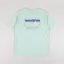 Patagonia 73 Skyline Organic T Shirt Rinsed Green