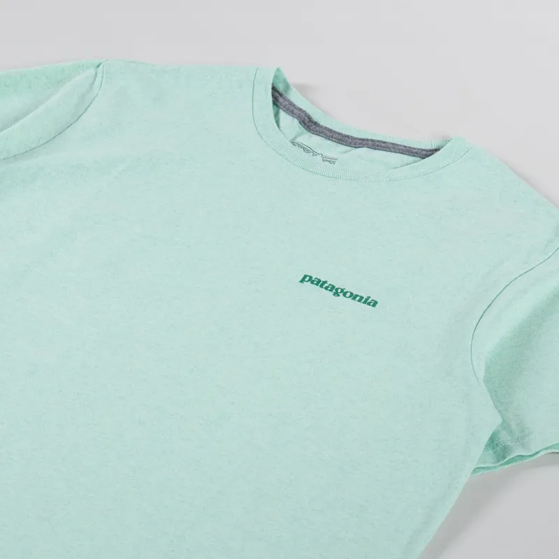 Patagonia Fitz Roy Icon Responsibili-Tee Rinsed Green-1