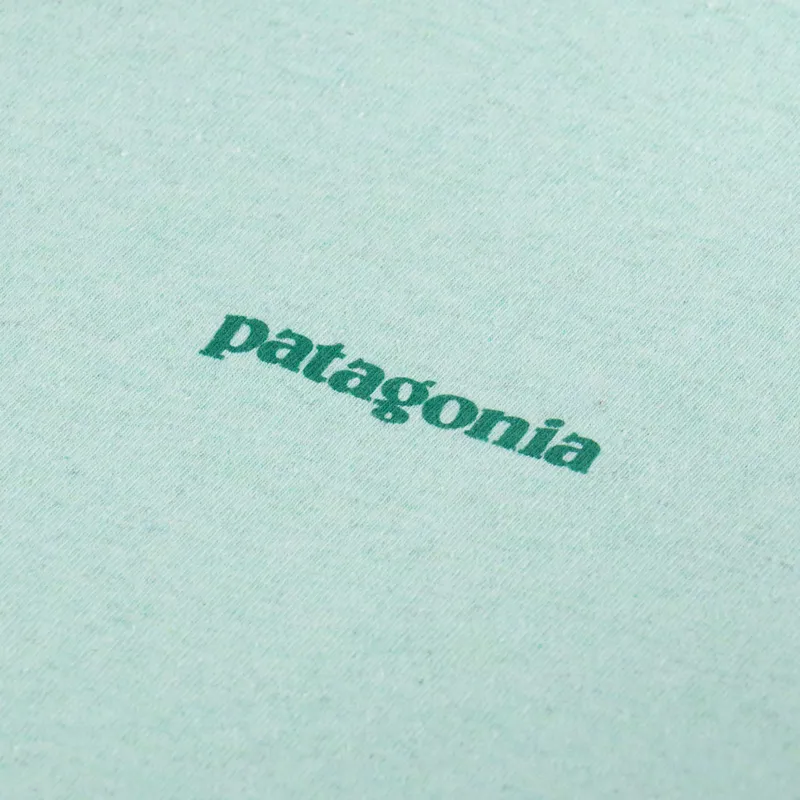 Patagonia Fitz Roy Icon Responsibili-Tee Rinsed Green-2