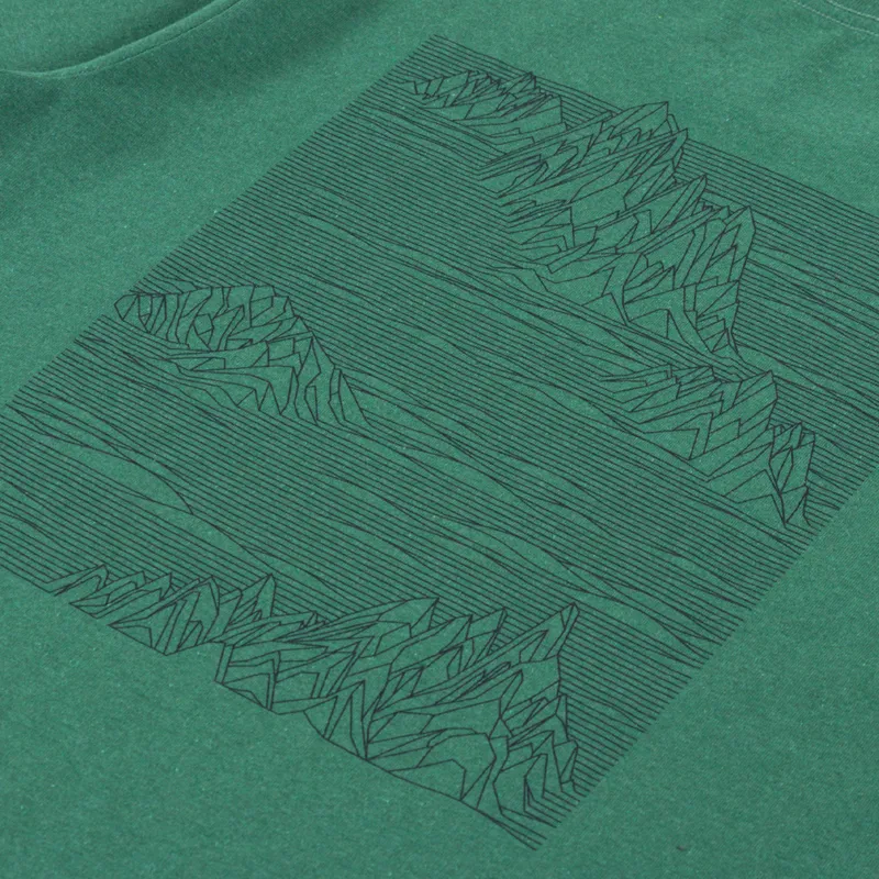 Patagonia Strataspire Responsibili-Tee Heartleaf Green-4