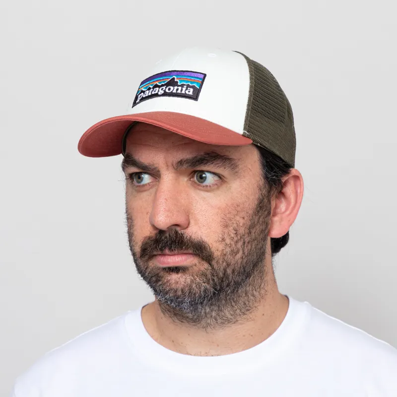 Patagonia P-6 Logo LoPro Trucker Hat Birch White