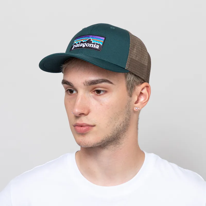 Patagonia P-6 Logo LoPro Trucker Hat Cascade Green