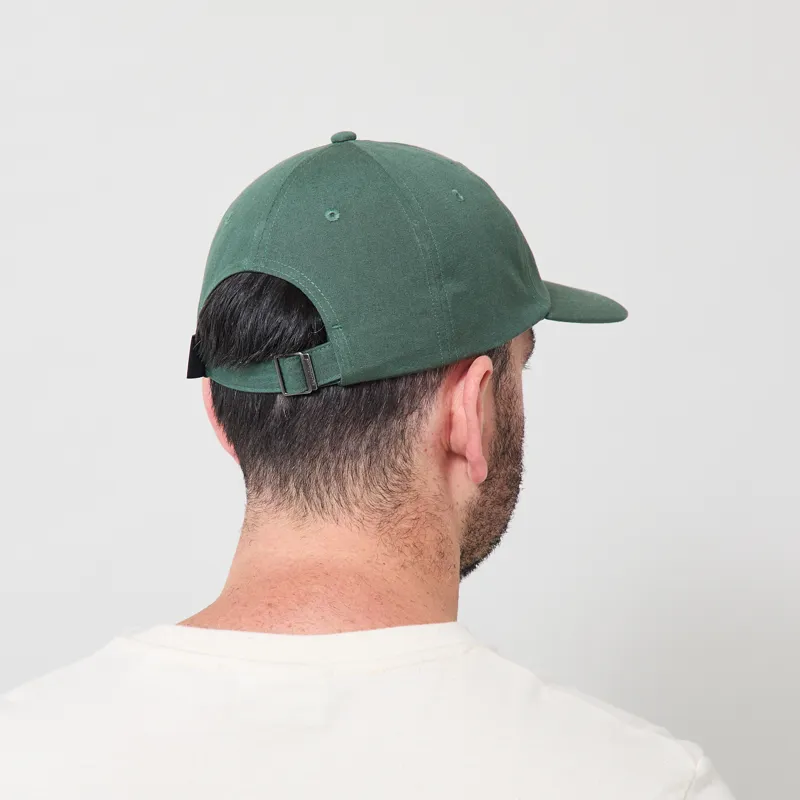 Patagonia P-6 Label Trad Cap Canopy Green-2