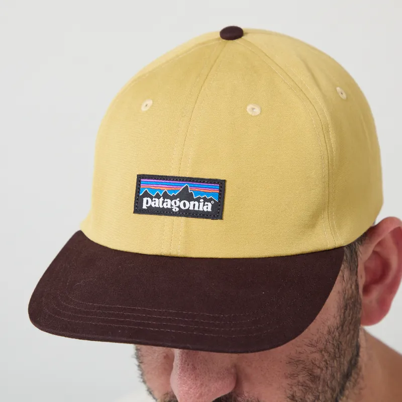 Patagonia P-6 Label Trad Cap Lynx Tan-4