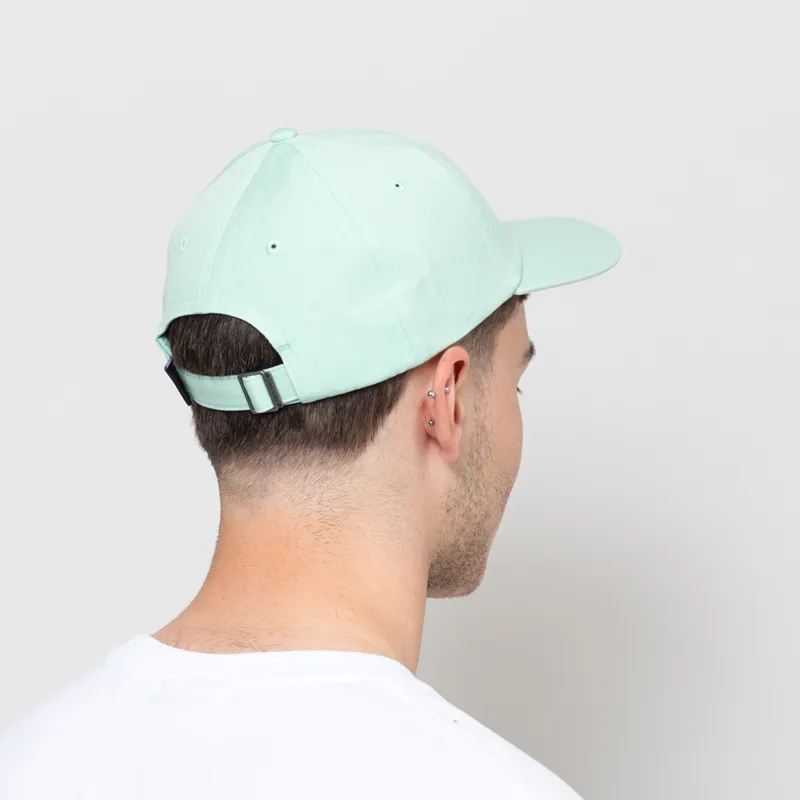 Patagonia P-6 Label Trad Cap Rinsed Green-2